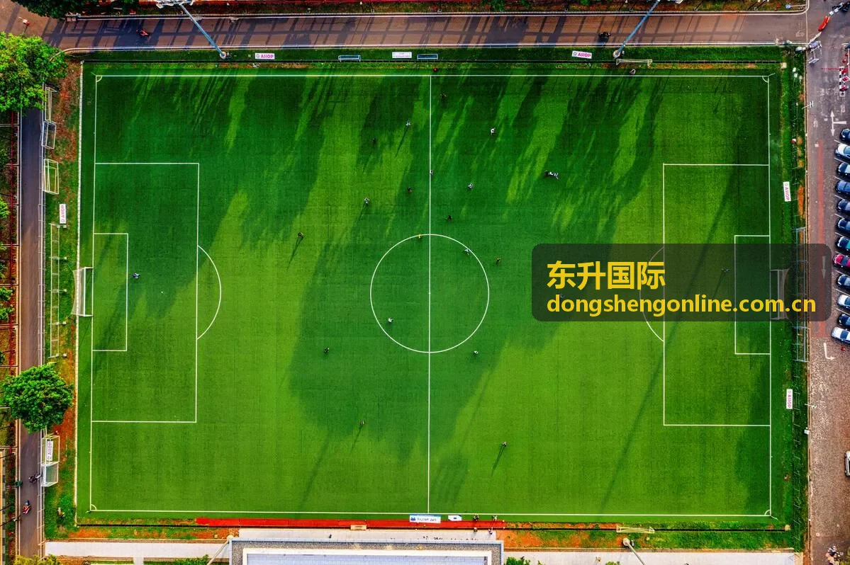 东升国际海外市场准入服务